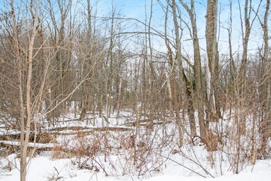 IMG_4100