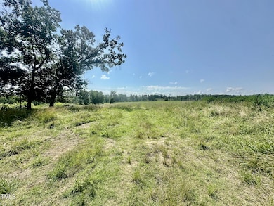 Lot 1 Jones Rd, Hurdle Mills, NC 27541 - photo 7