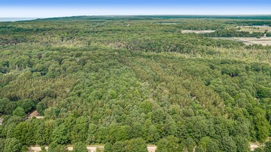 DJI_0385