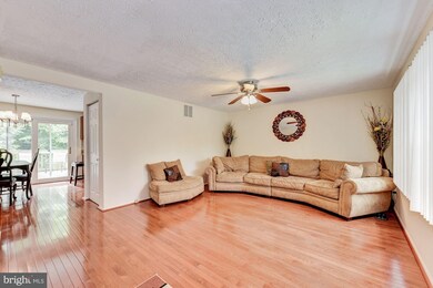 8125 Willowdale Ct, Springfield, VA 22153 - photo 5