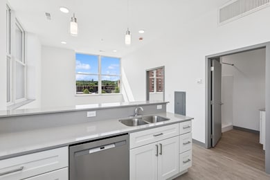 222 Bush St unit 303, Red Wing, MN 55066 - photo 4