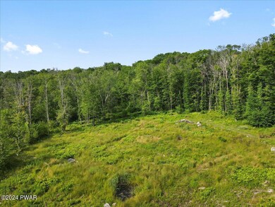 98 Davitt Rd, Honesdale, PA 18431 - photo 6