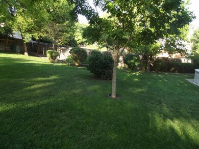 Neiles Back Yard