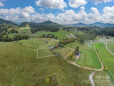 204 Ty Lea Dr unit 17, Waynesville, NC 28785 - photo 4