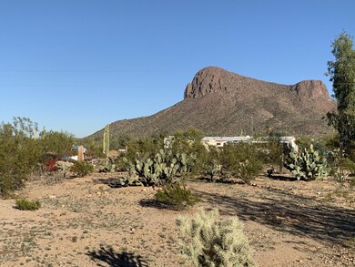 View from Backyard