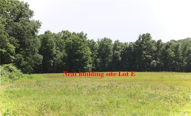TBD Lot E E 269th St, Freeman, MO 64746 - photo 4