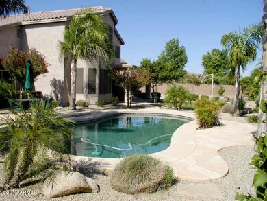 Back Yard 2
