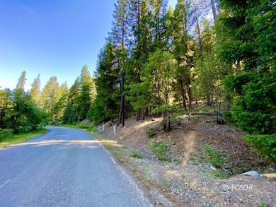 Road View