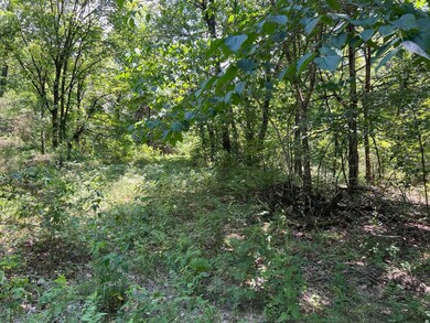 0 5 49 Acres On Meadow Creek Dr, Harrison, AR 72601 - photo 6