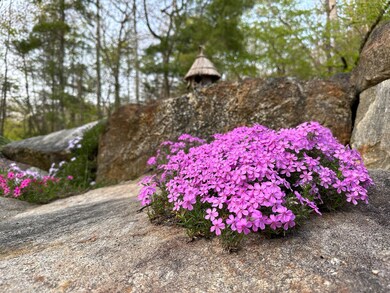 474 Leaches Point Rd, Orland, ME 04472 - photo 7