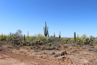 2518 N Mountain Rd, Mesa, AZ 85207 - photo 5