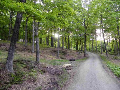 - Bayley Hazen Rd, West Danville, VT 05873 - photo 4