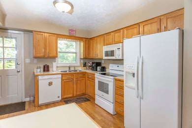 20420 Thornapple Ln, Big Rapids, MI 49307 - photo 4