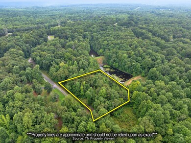 213 Jason Hollow Rd, Cedar Grove, TN 38321 - photo 4