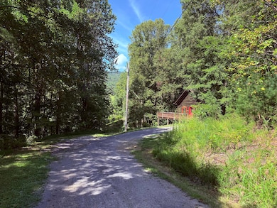 6955 Mount Chestnut Rd, Roanoke, VA 24018 - photo 4