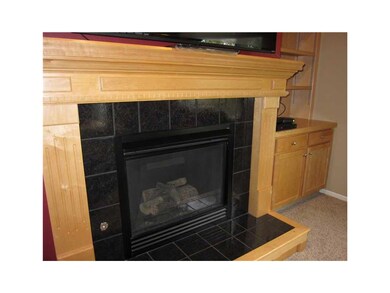 Fireplace.