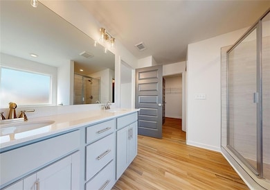 Bathroom featuring vanity, a shower with shower do
