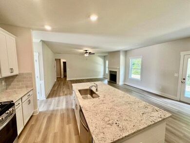 1542 Firelight Way, Ooltewah, TN 37363 - photo 7