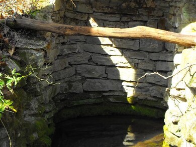 1906 Dancer Branch Rd, Stewart, TN 37175 - photo 5