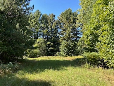 5383 N Conway Rd, Alanson, MI 49706 - photo 4