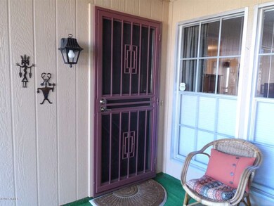 Front Security Door
