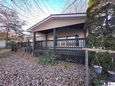 302 Thomas St, Leitchfield, KY 42754 - photo 6