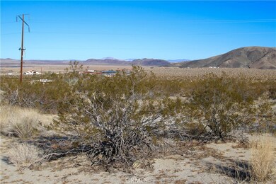 1234 El Rey Ave, Joshua Tree, CA 92252 - photo 6