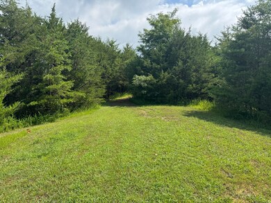 Optional House Site on Ridge