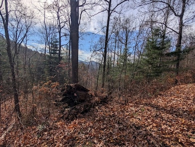 Lot 83 Garnet Rd, Sylva, NC 28779 - photo 4