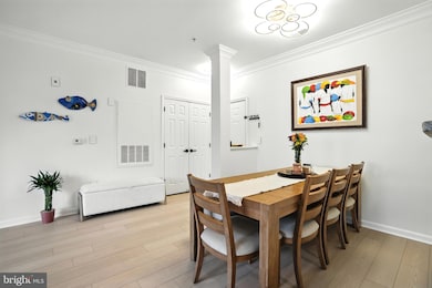 4850 Eisenhower Ave unit 302, Alexandria, VA 22304 - photo 7