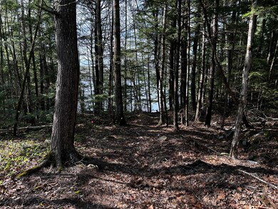 14 & 55A Hemlock Park Dr, Jefferson, ME 04348 - photo 7