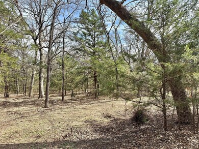 2.26 Acres County Road 262, Gainesville, TX 76240 - photo 5