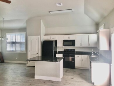 229 Riley Ln, Fredericksburg, TX 78624 - photo 3