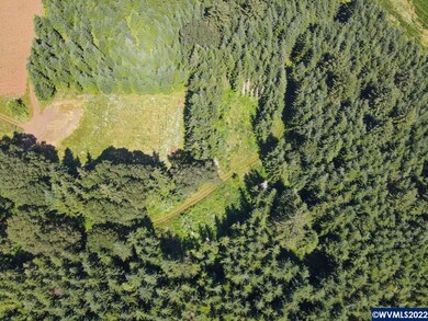 42480 Mount Pleasant Dr, Scio, OR 97374 - photo 3