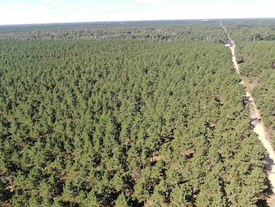 77 AC State Highway 13 Acres, Nekoosa, WI 54457 - photo 3