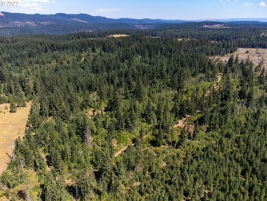 0 Coyote Song Ln unit 22276455, Snowden, WA 98672 - photo 7