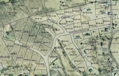 TBD Lot#10 Elem Dr, Chilhowie, VA 24319 - photo 2