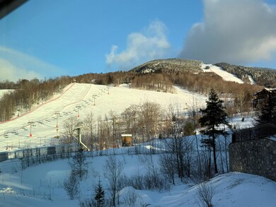 20 Sterling Ln unit 16, Stowe, VT 05672 - photo 3