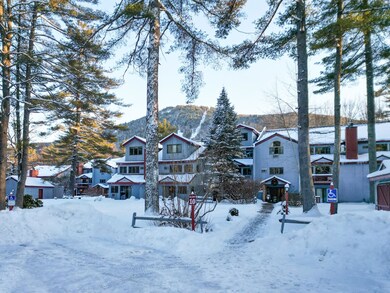 10 River Run Dr unit G, Bartlett, NH 03812 - photo 3