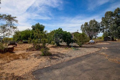 Joy Ranch (26)