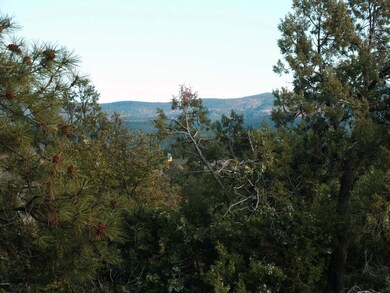Mountain Views