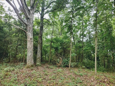 0 Little Pond Dr unit 25023106, Mountain View, AR 72560 - photo 6