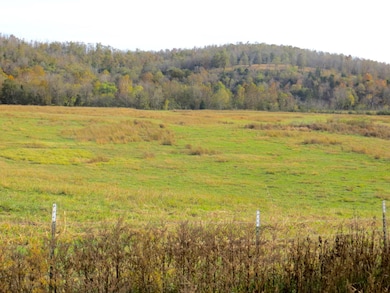 farm for sale in mammoth spring arkansas