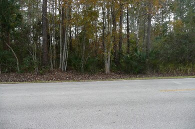 0 Old Deland Rd, Daytona Beach, FL 32124 - photo 6