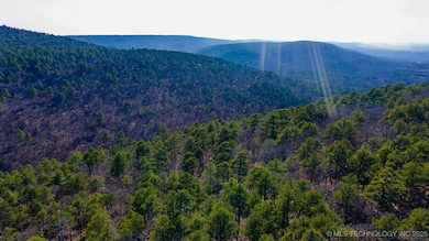 29000 State Highway 43, Clayton, OK 74536 - photo 3