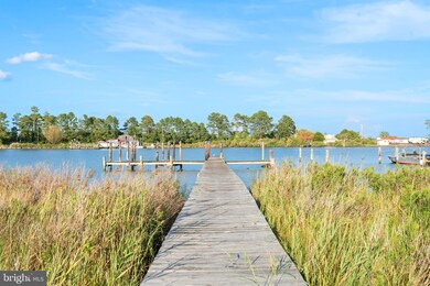 16066 Thomas Rd, Piney Point, MD 20674 - photo 5