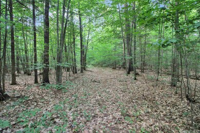 20 Fairgrounds Rd, Plymouth, NH 03264 - photo 6