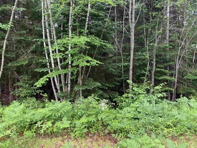 Route 3 Hwy, Columbia, NH 03576 - photo 6