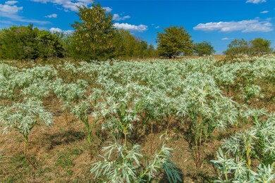 Tract 3 County Road 4460, Decatur, TX 76234 - photo 3