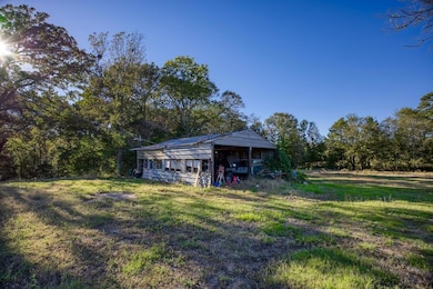 3920 An County Road 386, Palestine, TX 75801 - photo 6